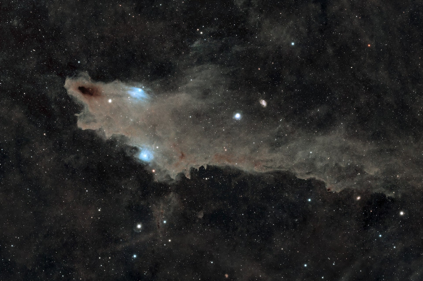 Nébuleuse du requin